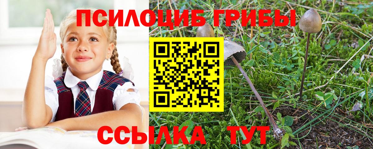 Псилоцибиновые грибы Magic Shrooms  Вход с VPN  Белгород  Псилоцибиновые грибы мицелий 